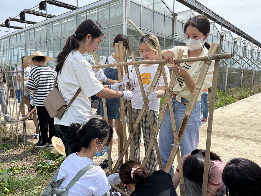 同学们学习花篱制作。杨雯 摄 同学们学习花篱制作。杨雯 摄