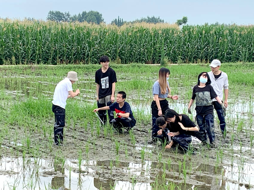 同学们在田间除草。人民网 王波 摄 同学们在田间除草。人民网 王波 摄